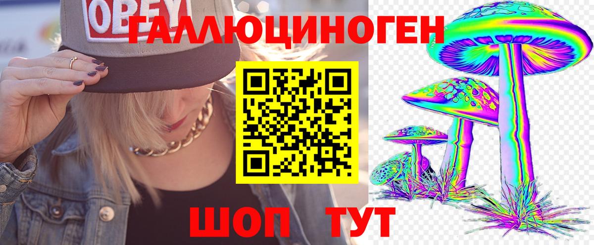Псилоцибиновые грибы Psilocybe  Вход с VPN  Галлюциногенные грибы MAGIC MUSHROOMS  Боровичи 